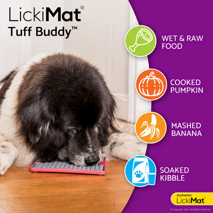 LickiMat® Tuff™ Buddy™ - Food suggestions