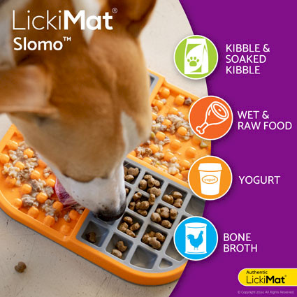 LickiMat® Slomo™ - Food suggestions