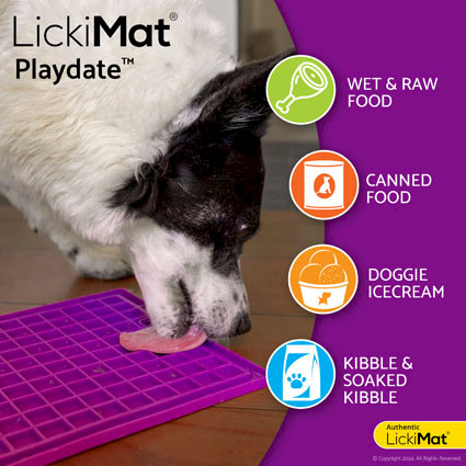 LickiMat® Classic Playdate™ - Food suggestions