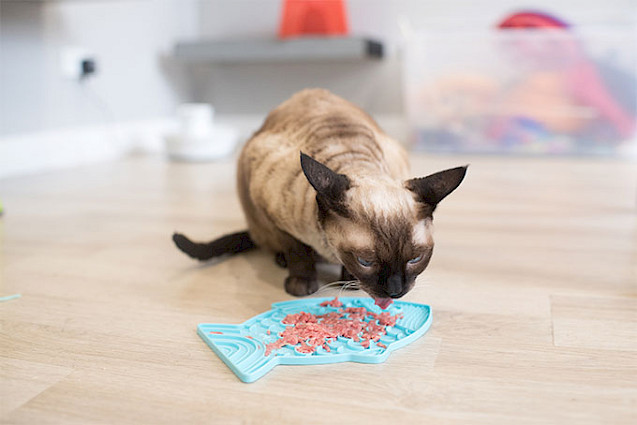 LickiMat® Classic Felix™ - 
