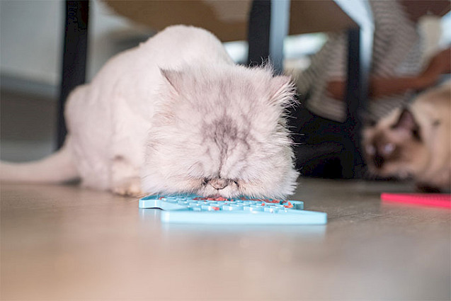 LickiMat® Classic Felix™ - 