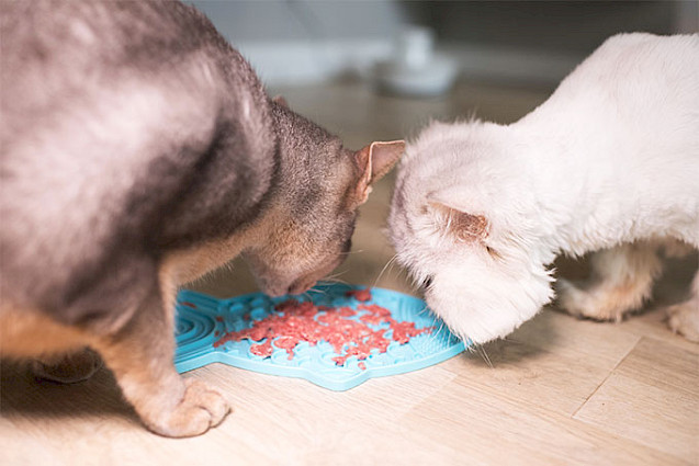 LickiMat® Classic Felix™ - 