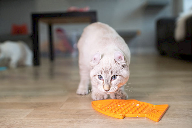 LickiMat® Classic Felix™ - 