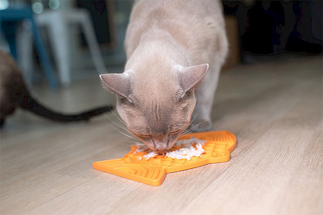 LickiMat® Classic Felix™ - 