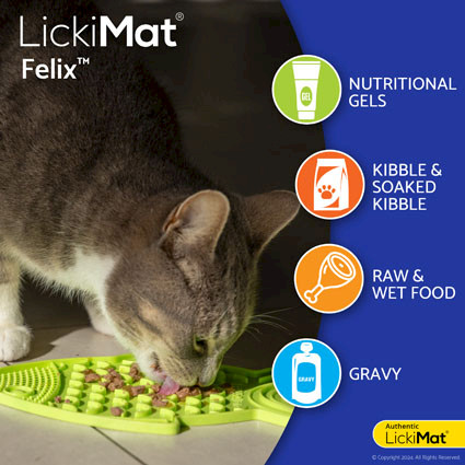 LickiMat® Classic Felix™ - Food suggestions