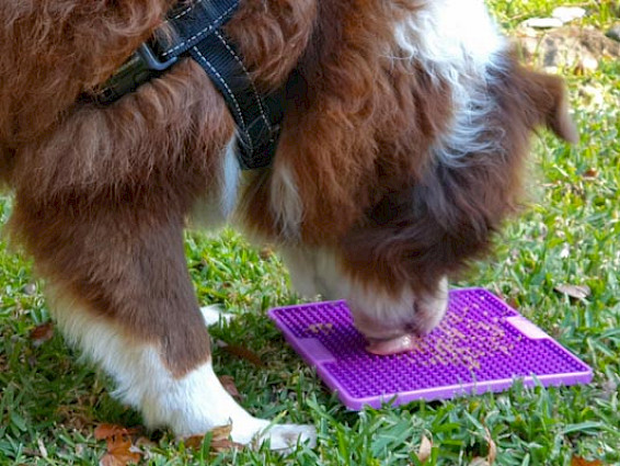 LickiMat® Pro Soother™