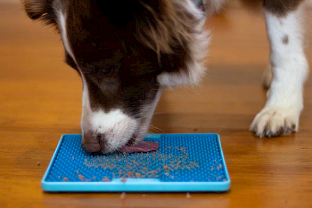 LickiMat® Pro Soother™ -