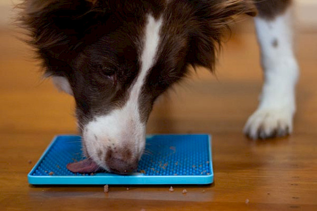 LickiMat® Pro Soother™ -