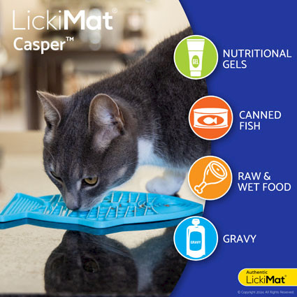 LickiMat® Classic Casper™ - Food suggestions