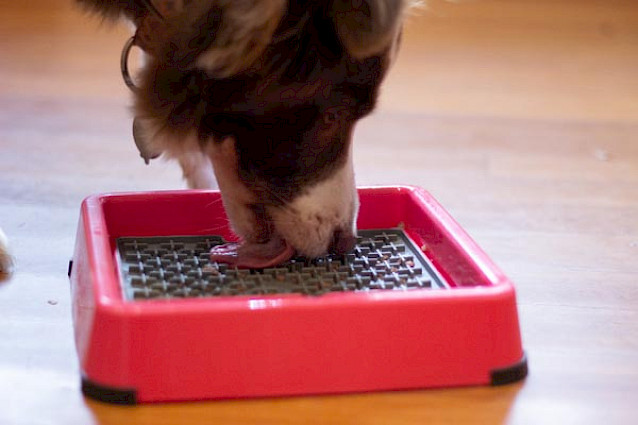 LickiMat® Keeper™ -