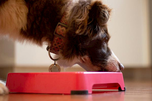LickiMat® Keeper™ -