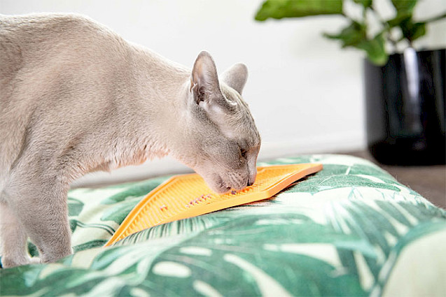 LickiMat® Classic Soother™ Cat - 