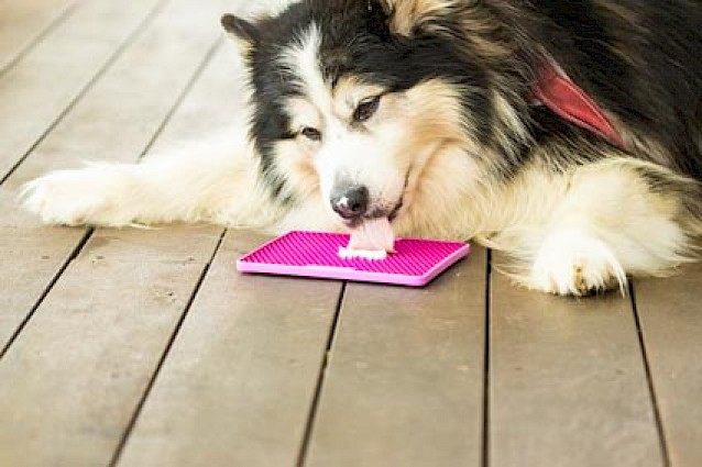 LickiMat® Classic Soother XL™