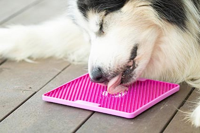 LickiMat® Classic Soother XL™ -