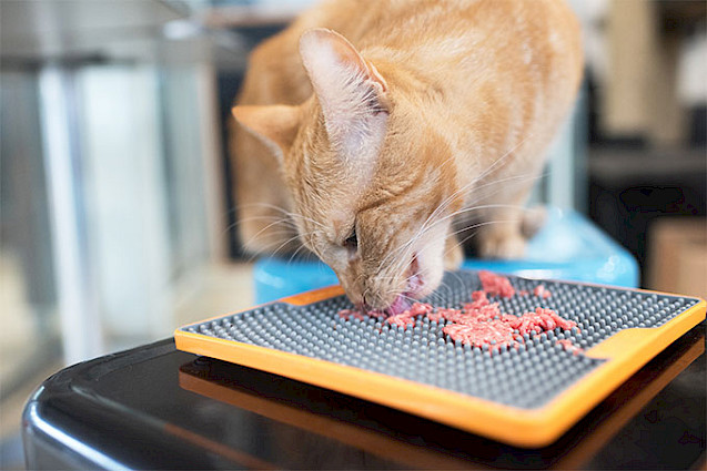 LickiMat® TUFF™ Soother Cat - 