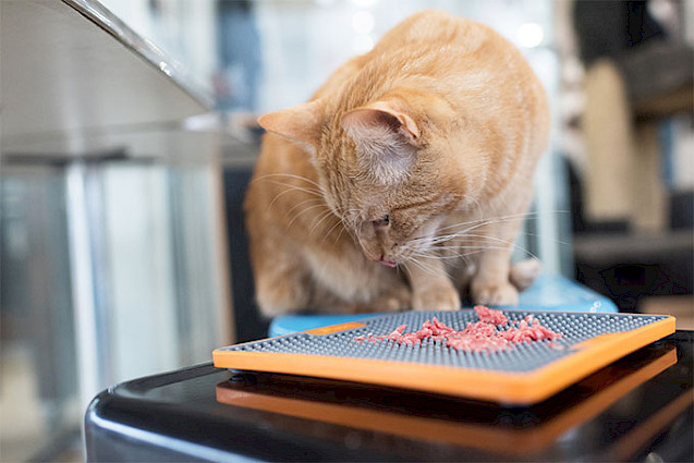 LickiMat® TUFF™ Soother Cat - 