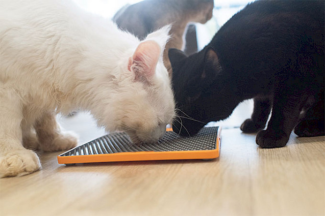LickiMat® TUFF™ Soother Cat - 