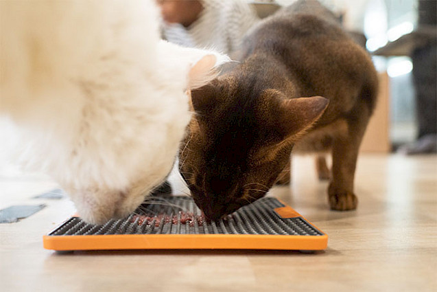 LickiMat® TUFF™ Soother Cat - 