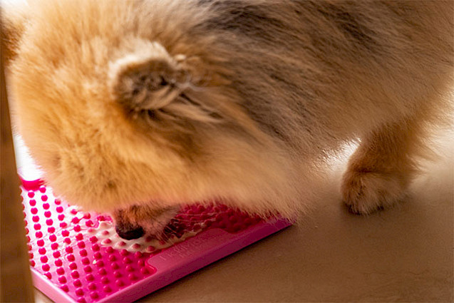 LickiMat® Mini Soother™