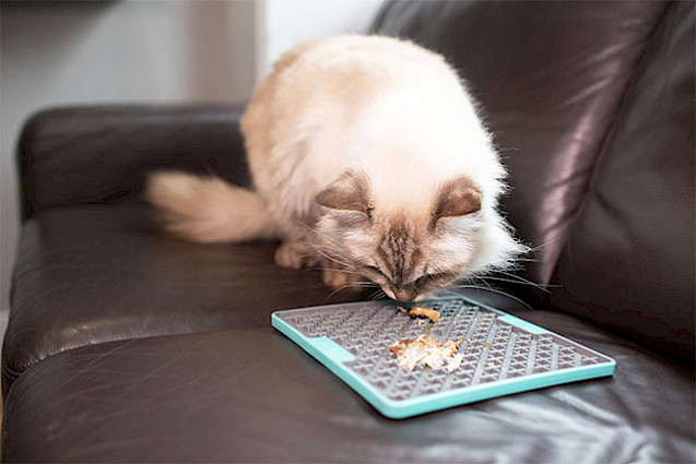 LickiMat® TUFF™ Buddy Cat - 