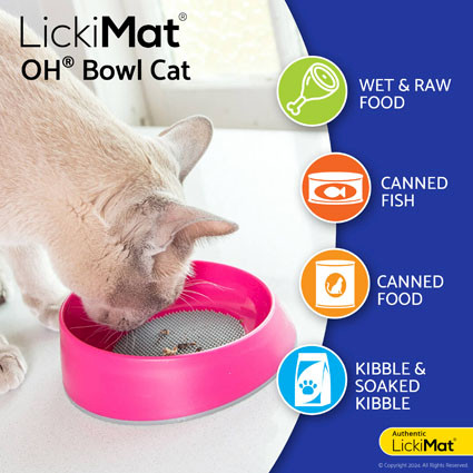 LickMat® OH Bowl - Cat - Food suggestions